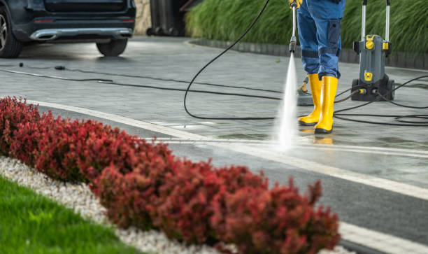 Best Sidewalk and Walkway Pressure Cleaning in Val Verde, CA